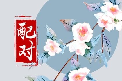 生肖三合、六合与六冲