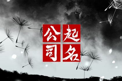 示例命局怎么用
