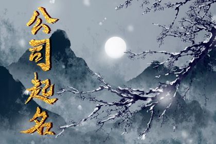 起名在做什么？