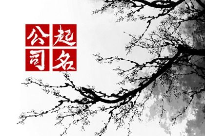 数字化取名的合理用法